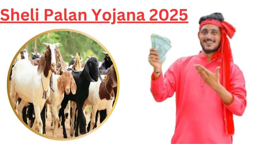 Sheli Palan Yojana 2025